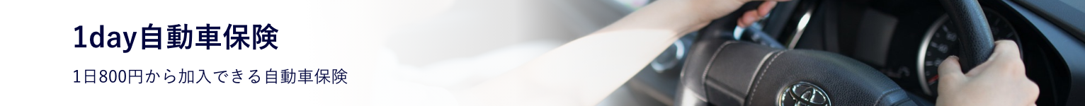 1day自動車保険